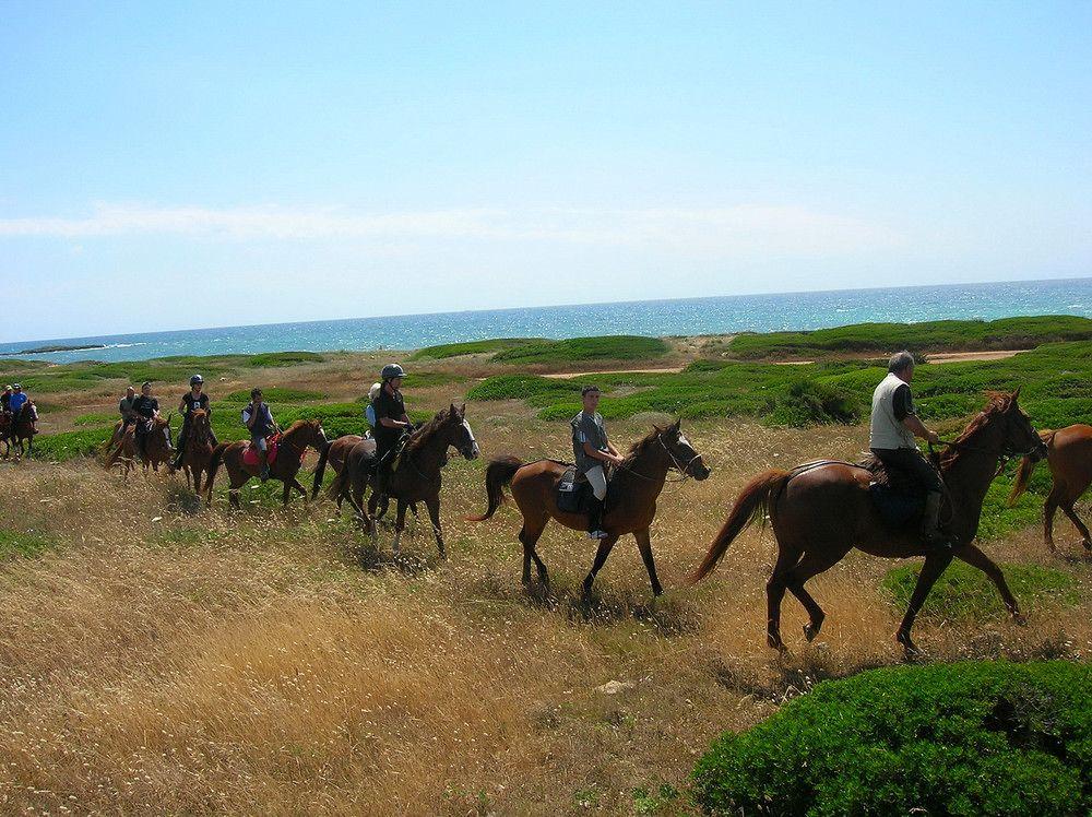 Horse Country Congress & - Ribot 4* Arborea