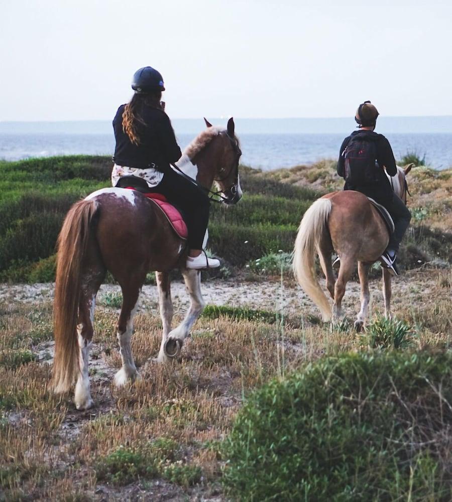 Horse Country Congress & - Ribot 4* Arborea