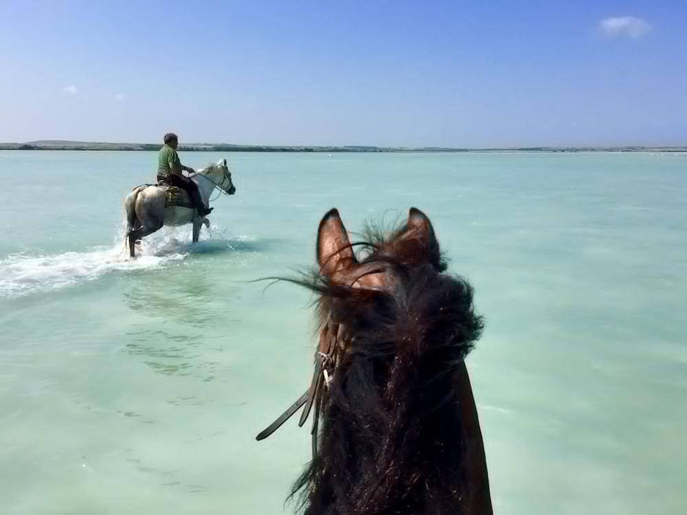 Horse Country Congress & - Ribot Resort 4*