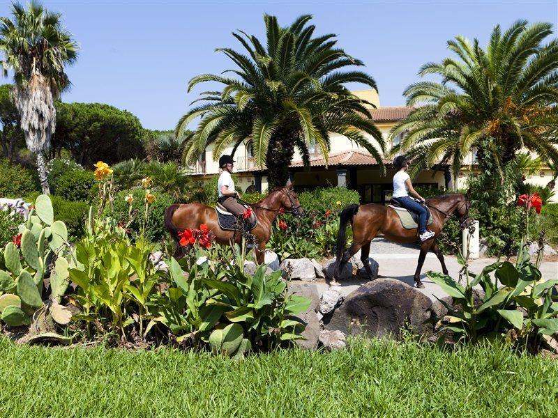 Resort Horse Country Congress & - Ribot Arborea