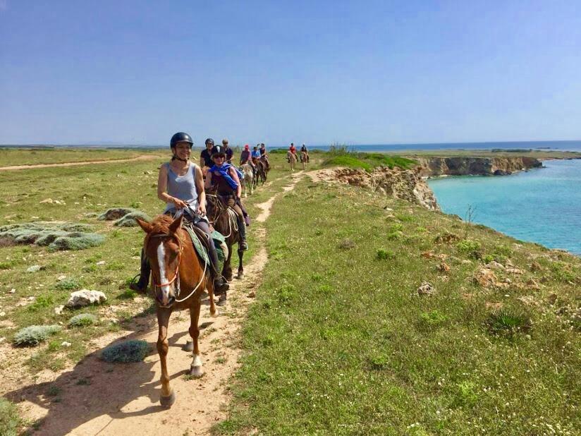 Resort Horse Country Congress & - Ribot 4*