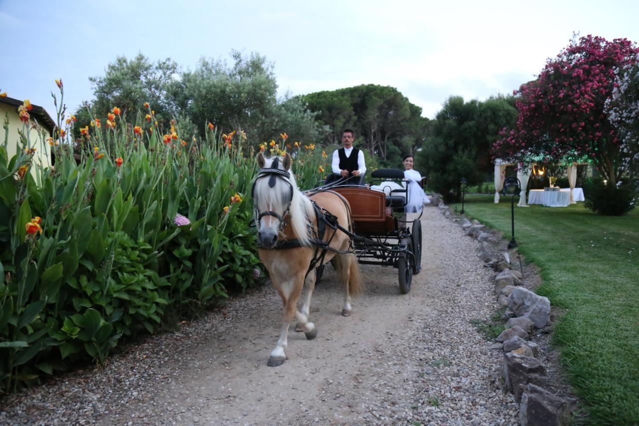 Resort Horse Country Congress & - Ribot