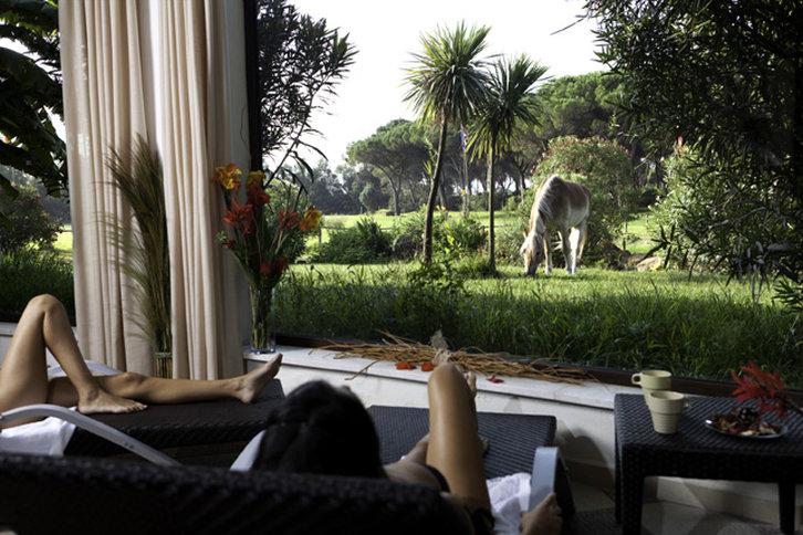 Resort Horse Country Congress & - Ribot 4*