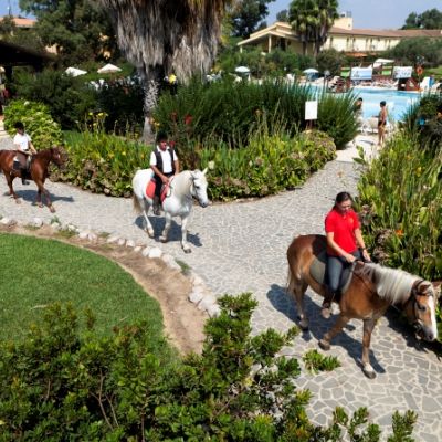 Horse Country Congress & - Ribot Arborea