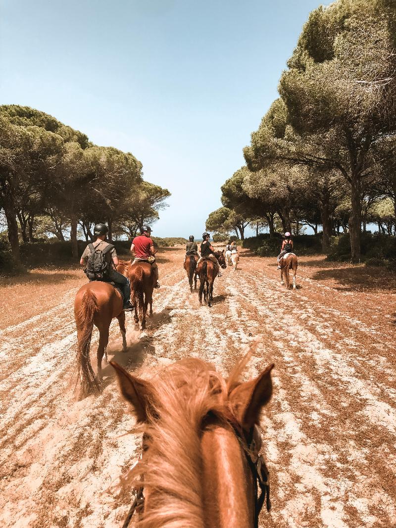 Horse Country Congress & - Ribot Resort